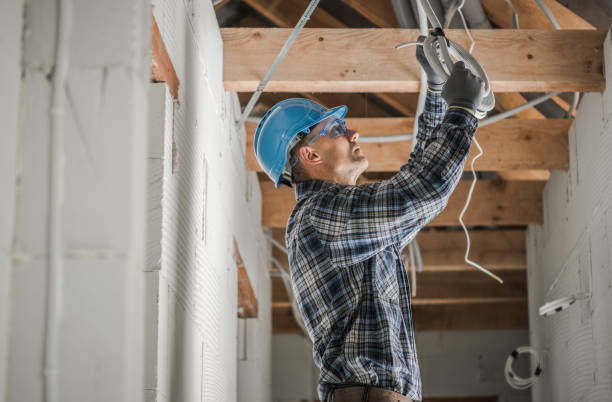 Best Electrical System Inspection  in Edina, MO